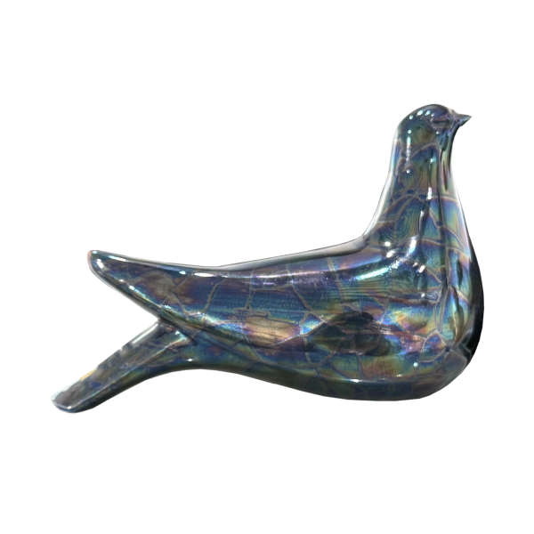 کبوتر لاستر (3254)