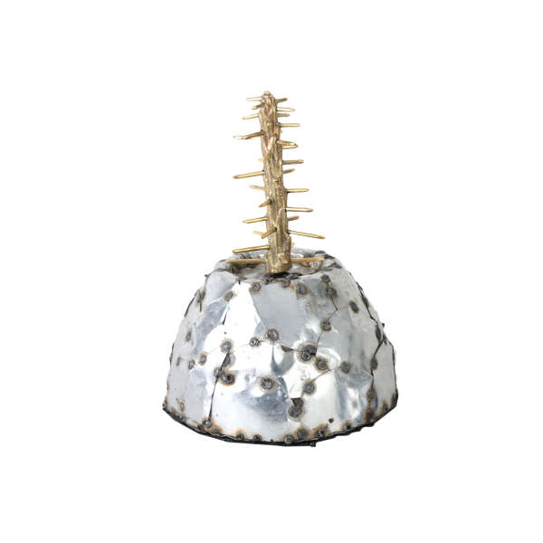 کاکتوس خاردار بلند (42141)